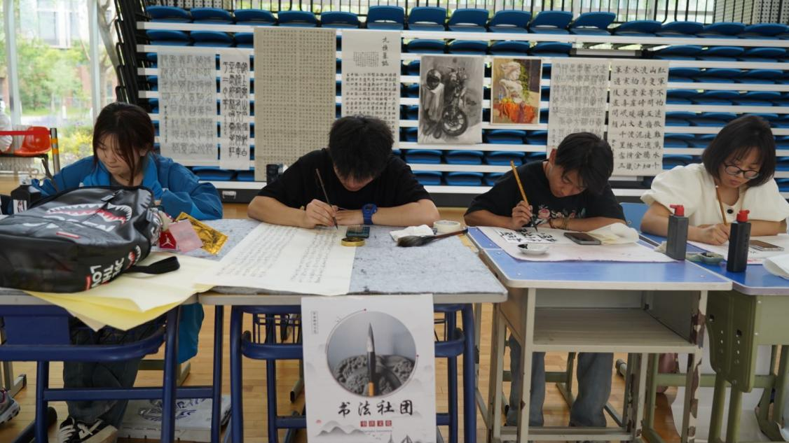 图片12.png